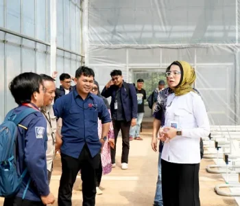Kepala Biro Hukum dan Humas BGN, Khairul Hidayati, dalam kunjungan ke fasilitas Smart Greenhouse milik Badan Riset dan Inovasi Nasional (BRIN) di Kawasan Sains dan Teknologi (KST) Soekarno, Cibinong, Selasa (14/4).